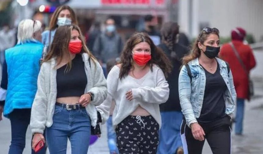 Domates gribi nedir? Domates gribi belirtileri neler?